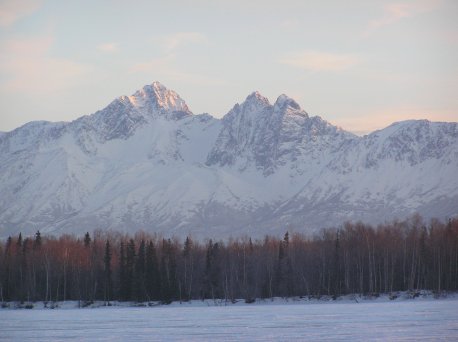 Mountains behind trees