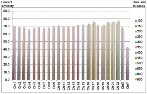 eastern chimpanzee mortality rate