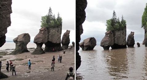 bay of fundy high and low tides