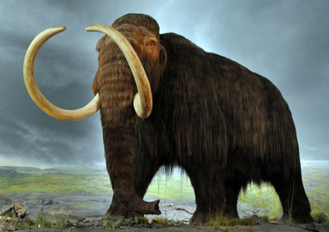 Will Scientists Be Able to Clone Mammoths? : Proslogion