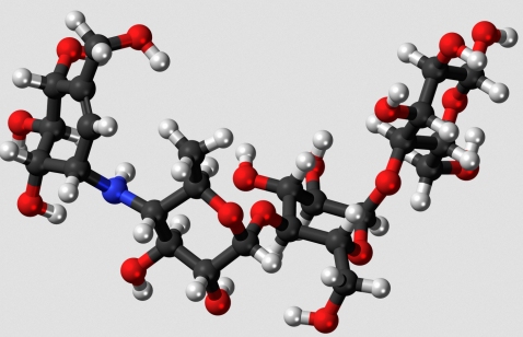 This is an oligosaccharide - a molecule made up of a few simple sugars linked together. (click for credit)