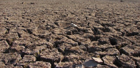 The dry portion of a riverbed in California (public domain image)