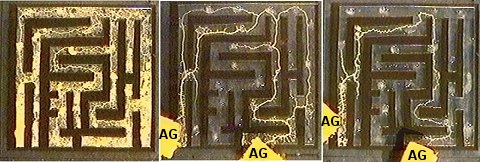 A slime mold chooses the shortest path to the food (labelled "AG") in a maze.  (Image is from the article being discussed.)