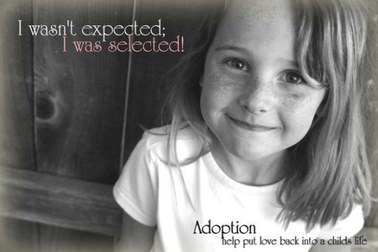 A meme promoting adoption (click for credit)