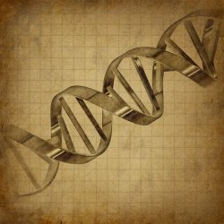 DNA that is thought to be more than a million years old has been discovered in the Bering Sea. (illustration by Lightspring via shutterstock.com)