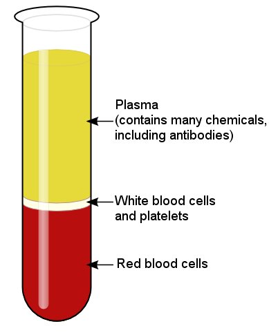 Another Possible COVID-19 Treatment : Proslogion